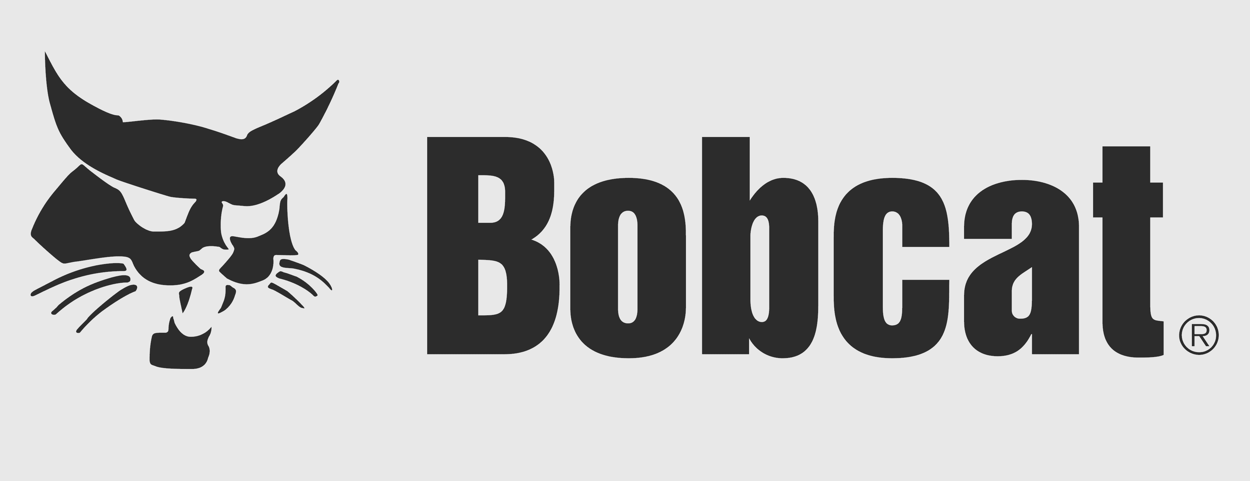 Bobcat